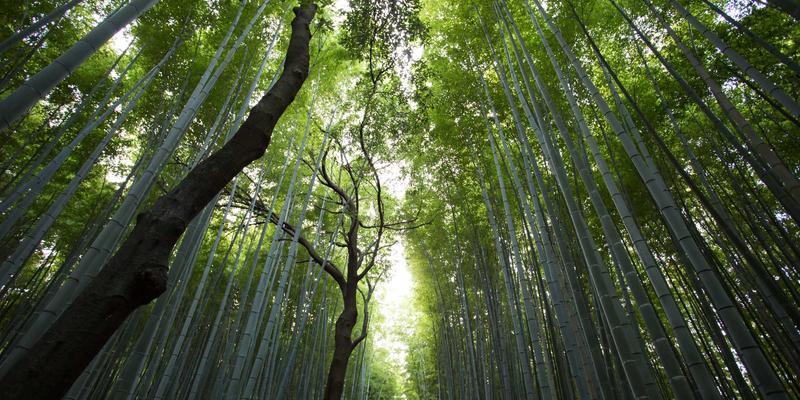 564B开源工具深度评测:技术博客必备的效率利器