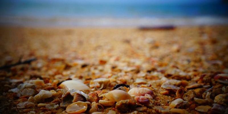 564B：编程开发中一个被遗忘的技术细节与当代启示