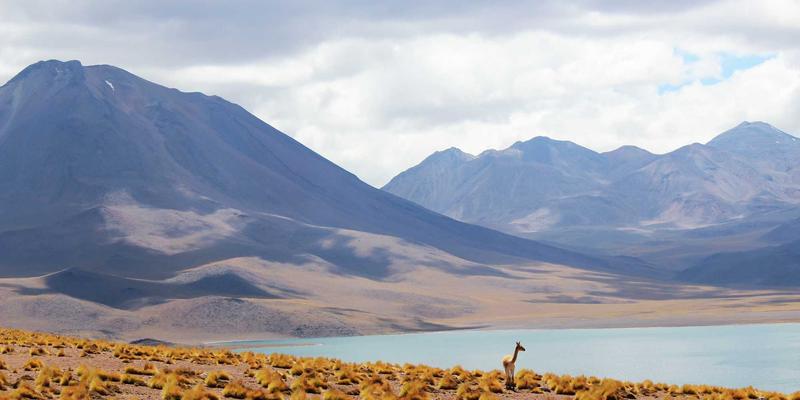 564B：编程开发中的未来科技密钥