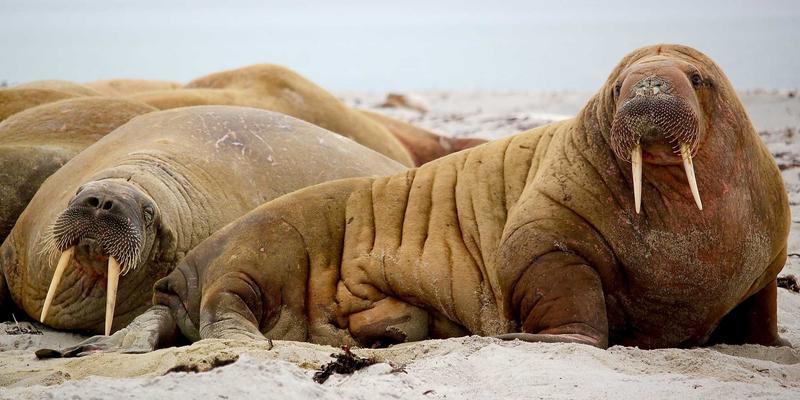 从564B到技术博客：解码网络技术前景与资源共享新生态