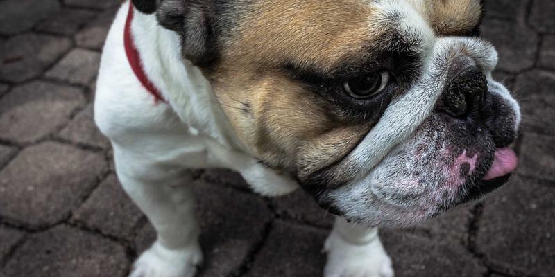 从564B到高效开发：一个微型资源库引发的编程思维变革