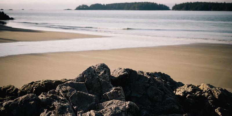 开源工具与编程开发:如何用网络技术塑造未来科技