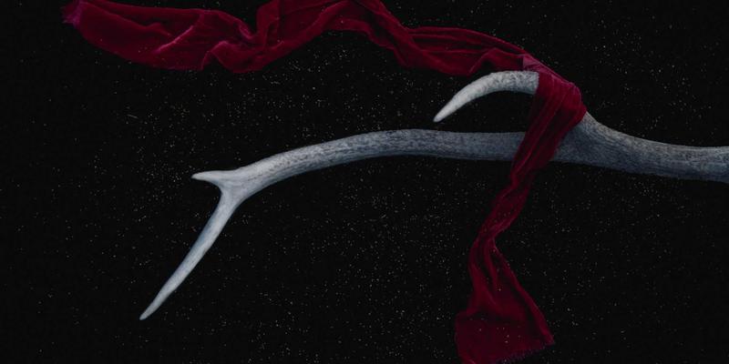 技术博客中的564B革命：解码未来科技的微型基石