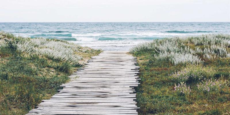 智能运维实战：基于AI的网络异常检测与自愈系统开源方案解析