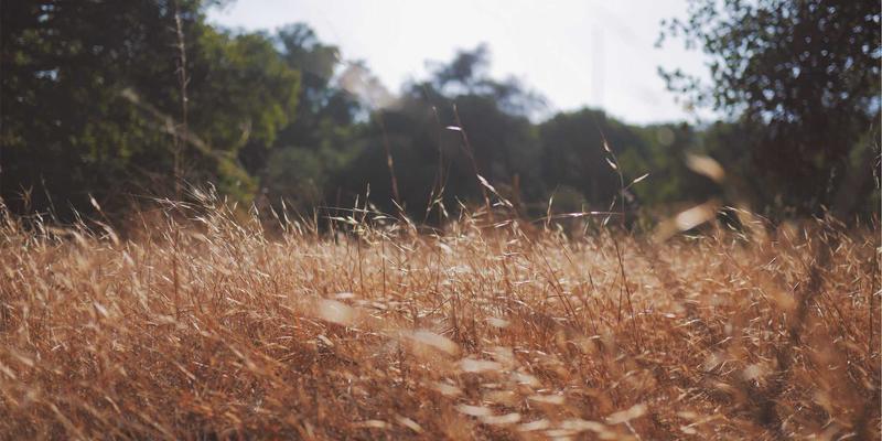 未来科技新引擎：400G/800G高速以太网技术发展与数据中心网络升级路径