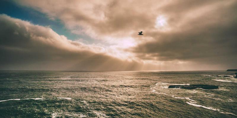 未来科技新纪元：基于意图的网络（IBN）如何引领网络技术从自动化迈向智能化