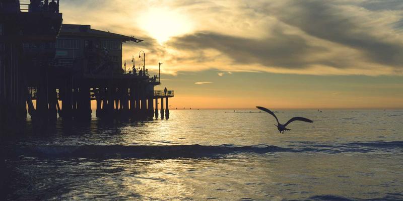 未来科技：网络技术87如何借助开源工具重塑技术博客生态