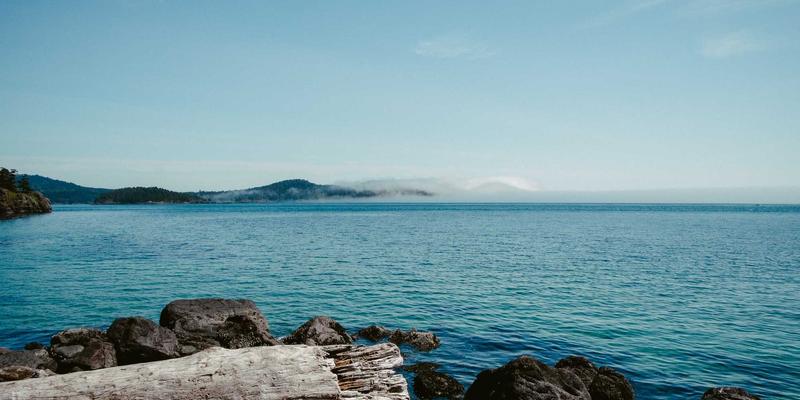 深入解析564B：网络技术中的关键指标与技术博客的实践指南