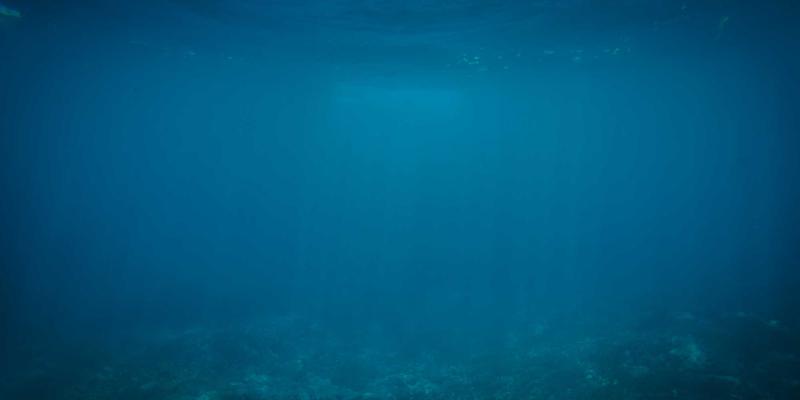 网络技术17:开源工具与资源共享如何重塑技术生态