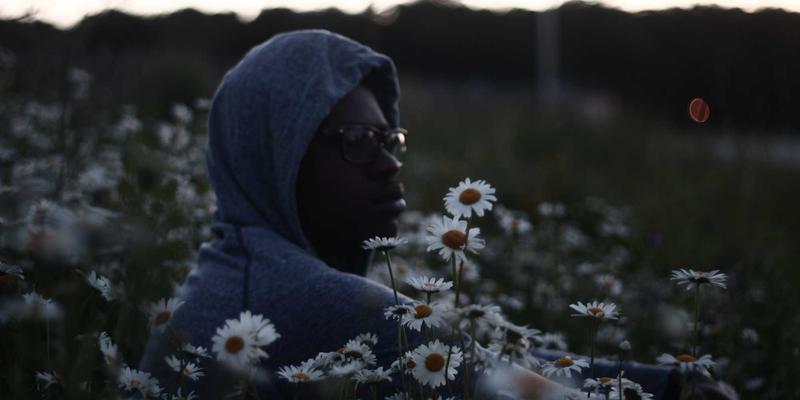 网络技术18：开源工具与资源分享，打造你的技术博客进阶指南