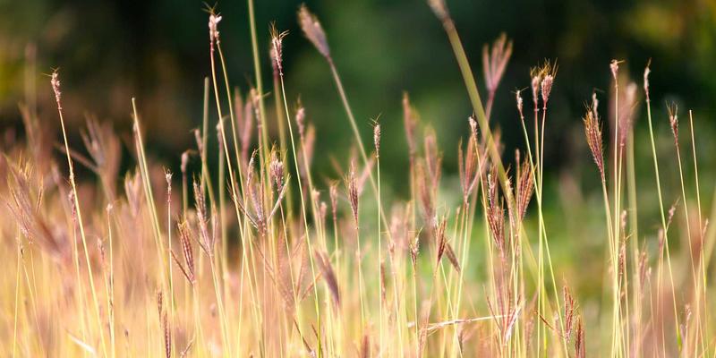 网络技术50：从未来科技到技术博客的564B革新之路