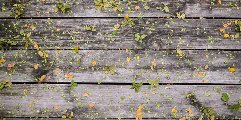 网络技术55：编程开发者的技术博客搭建与进阶指南