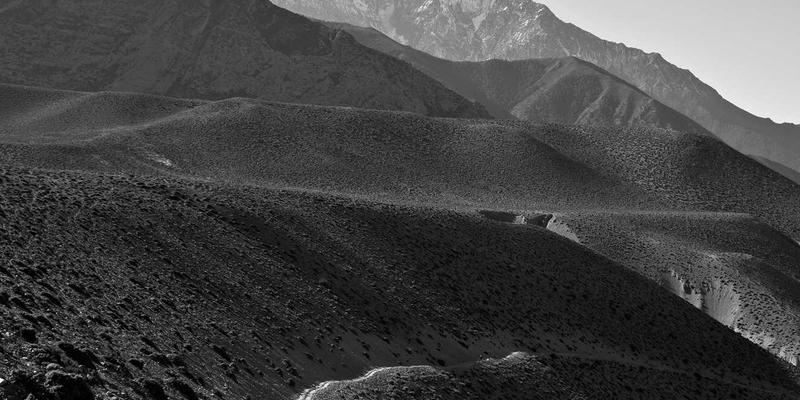 网络技术66：编程开发者的资源宝库与进阶指南