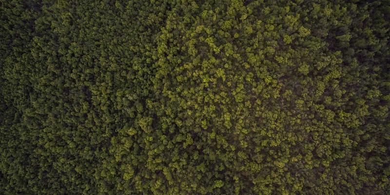 网络技术70：解码未来科技浪潮，重塑数字世界新纪元