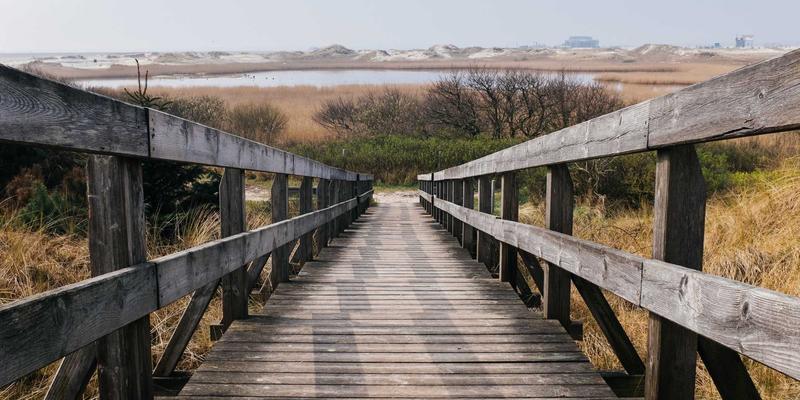 网络技术93：开源工具如何塑造未来科技的技术博客生态