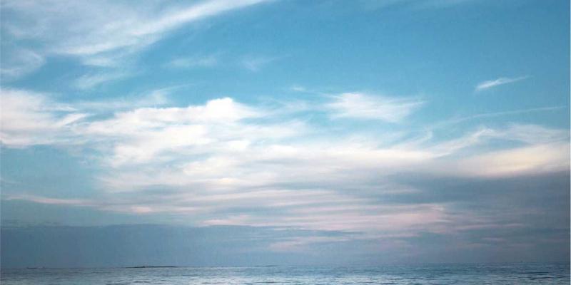 网络技术入门指南:从零搭建你的技术知识体系与资源库