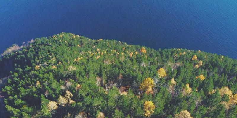 网络技术新纪元：深度解读时间敏感网络（TSN）关键协议与564B标准在工业自动化的应用