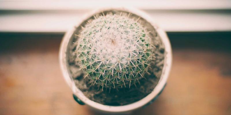 自组织网络（SON）：驱动5G与未来网络自动化运维的关键技术