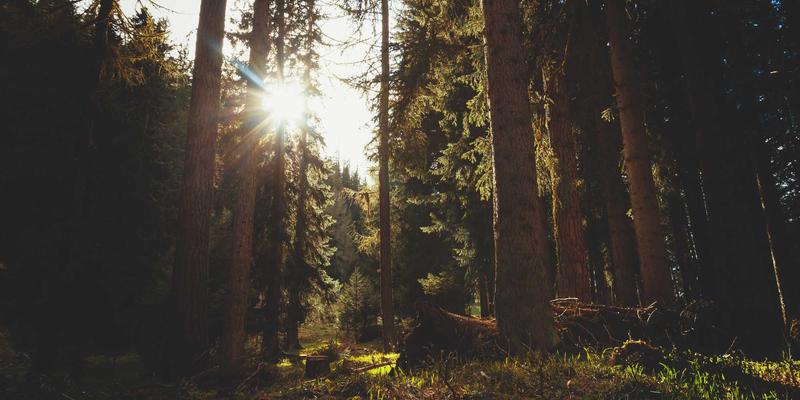 蜂窝车联网（C-V2X）：揭秘564B标准如何重塑低延迟、高可靠的未来交通