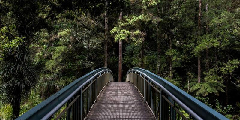 量子保密通信网络：原理、进展及其在金融与政务领域的应用前景