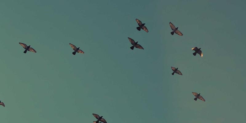 量子密钥分发网络：564B未来科技如何重塑信息安全基础设施